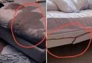 Women who do this in bed are the most…See more