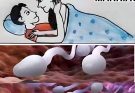 🛑Studies reveal that swallowing your partner’s semen…See more