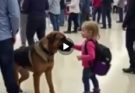 🚨Security Dog Started Barking at a Child’s Backpack—What Was Inside Made the Whole Airport Go