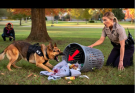 K9 Retired for Years Scratches a Trash Can — What He Found Solved a Chilling Cold Case…. See more